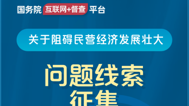 大鸡巴插小b的视屏国务院“互联网+督查”平台公开征集阻碍民营经济发展壮大问题线索